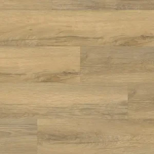 Günstig Design 40+ Epic D228-0026 - Dryback